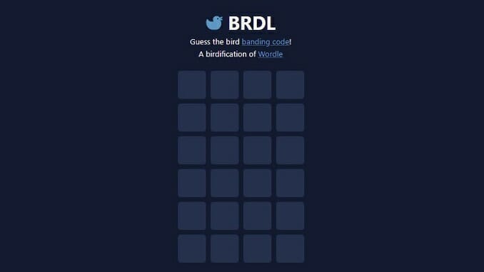 Ranking All 20 Wordle Variants (That I’m Aware Of)