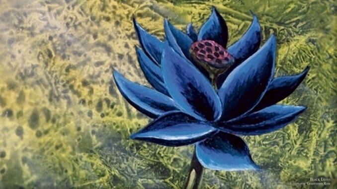 A Magic: The Gathering Card Just Sold for Over $500,000