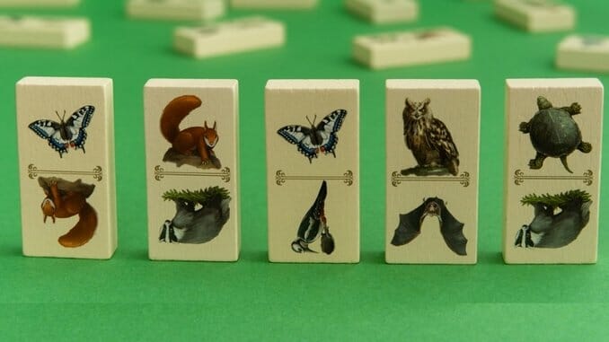 Renature Is One of the Best Board Games Yet by Kramer and Kiesling