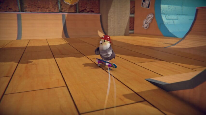 skatebird.jpg