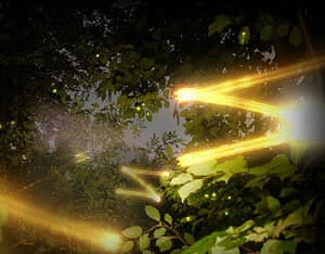Trauma (PC)
