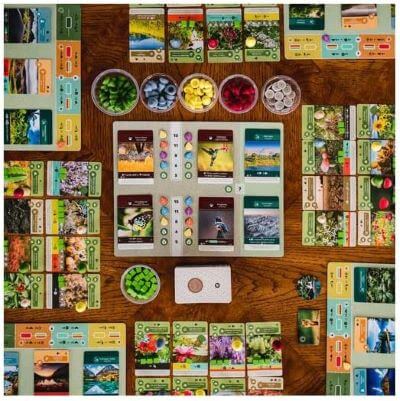 Earth board game