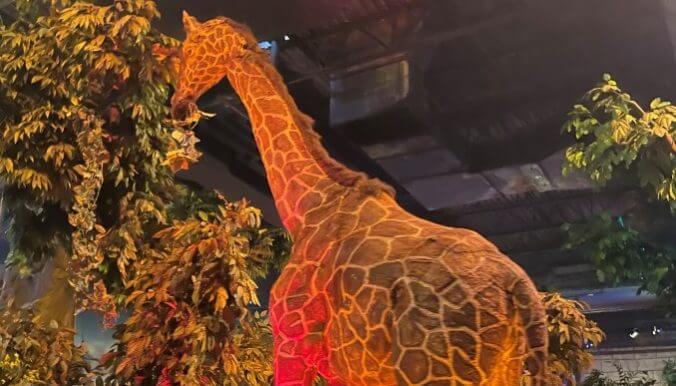 Rainforest River Adventure