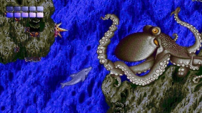 Ecco the Dolphin
