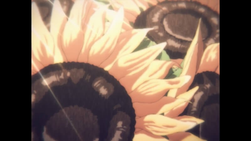 The Summer Hikaru Died Sunflower