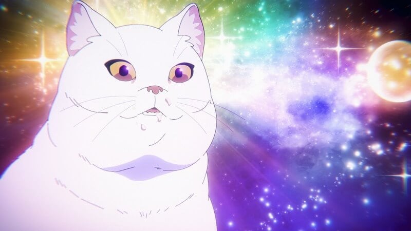 The summer hikaru died