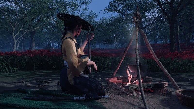 ghost of yotei dualsense